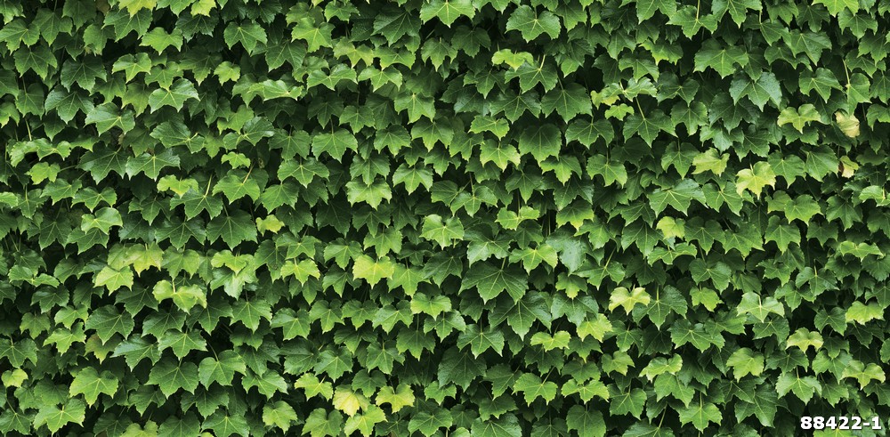 Giấy dán tường lá cây nhiệt đới 88422-1